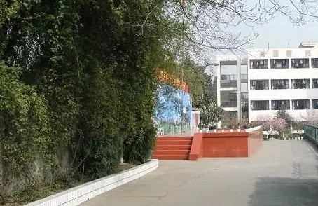 251.jpg