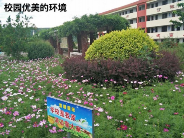 230.jpg