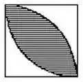 153840273830295dc1eae69.jpg