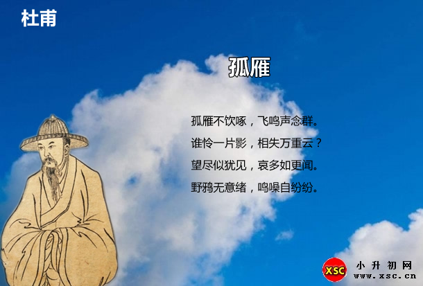 孤雁.jpg