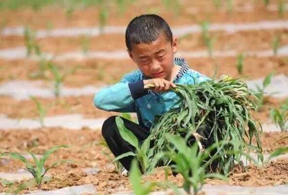 孩子放学不愿意写作业怎么办？