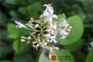 学生趴着睡觉的坏处：正确的午休姿势什么样的！