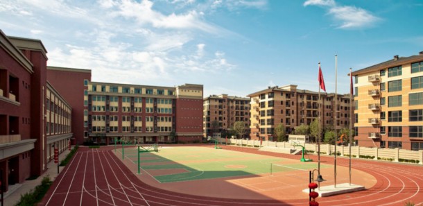 336.jpg