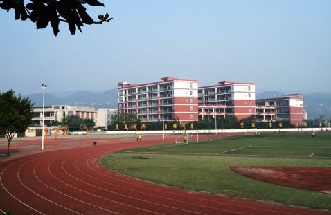 349.jpg