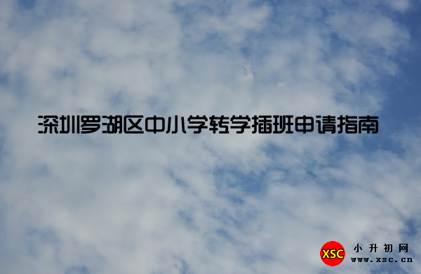 深圳罗湖区中小学转学插班申请指南.jpg