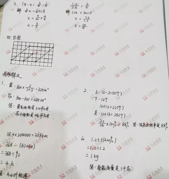 99.jpg