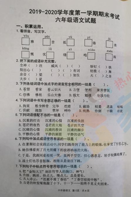 207.jpg