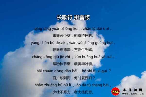 焜黄华叶衰中的衰字怎么读？（正确拼音解读）
