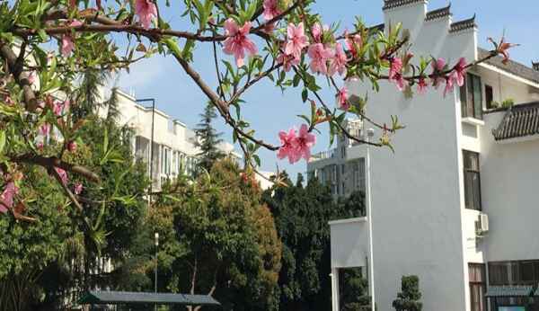 四川师范大学附属第一实验中学收费标准(学费)及学校简介