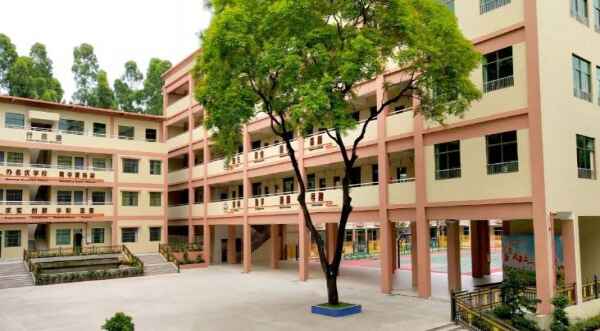 东莞茶山新华学校收费标准(学费)及学校简介