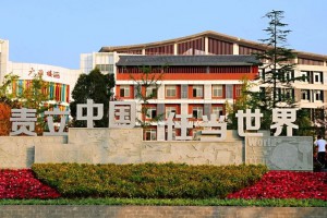 达州东辰国际学校收费标准(学费)及学校简介