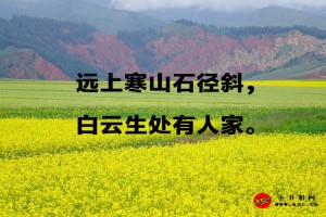 白云生处有人家还是白云深处有人家？“生“和”深”用哪个？