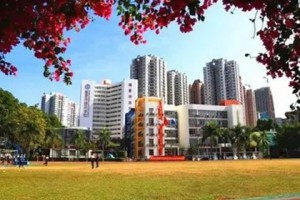 深圳市福景外国语学校2021年插班生招生计划及收费标准