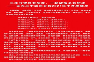 2021年安徽省无为第三中学城东分校中考成绩升学率(中考喜报)