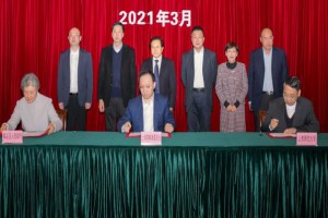 上海市实验学校嘉定新城分校简介及招生时间