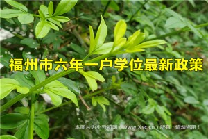 2022年福州市六年一户学位最新政策(实施范围+具体内容)