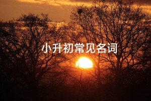 2022年小升初常见名词解释，家长须知！