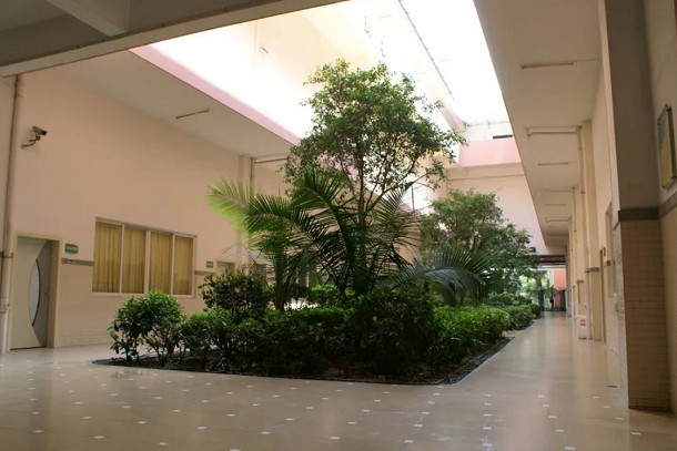 xsc979.jpg