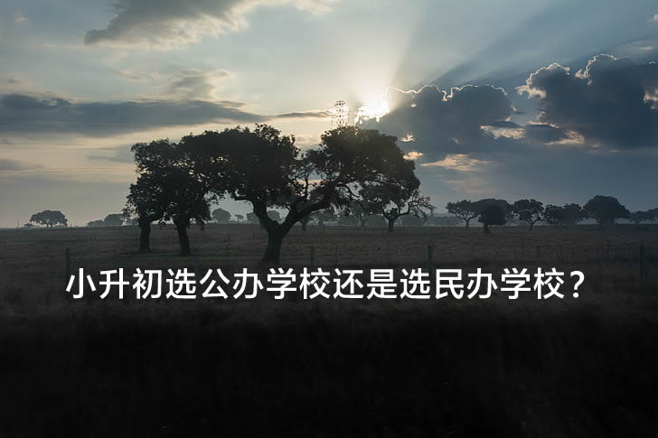 小升初选公办学校还是选民办学校？.jpg