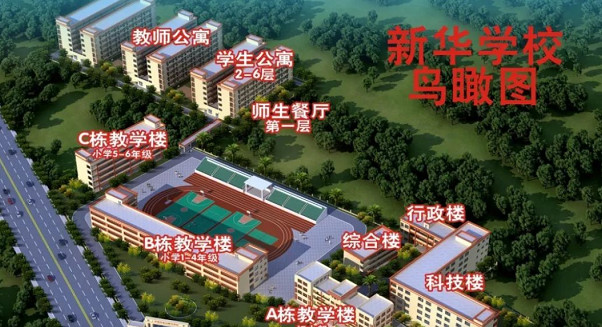 xsc2080.jpg