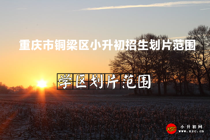 2022年重庆市铜梁区小升初招生划片范围一览.jpg
