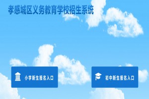 孝感城区义务教育学校招生系统网址登陆入口