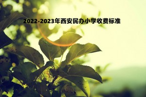 2022-2023年西安民办小学收费标准汇总