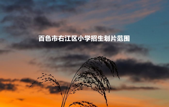 百色市右江区小学招生划片范围.jpg