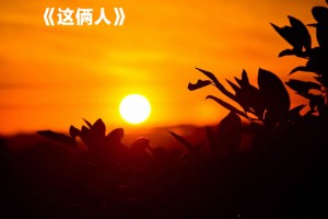《这俩人》_1000字作文