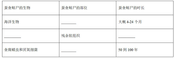 xsc111.jpg