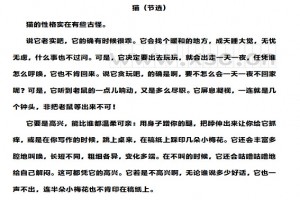 《猫》阅读理解题及答案(阅读答案二)