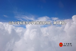 公办小学和民办小学的优劣势对比，哪个更好？