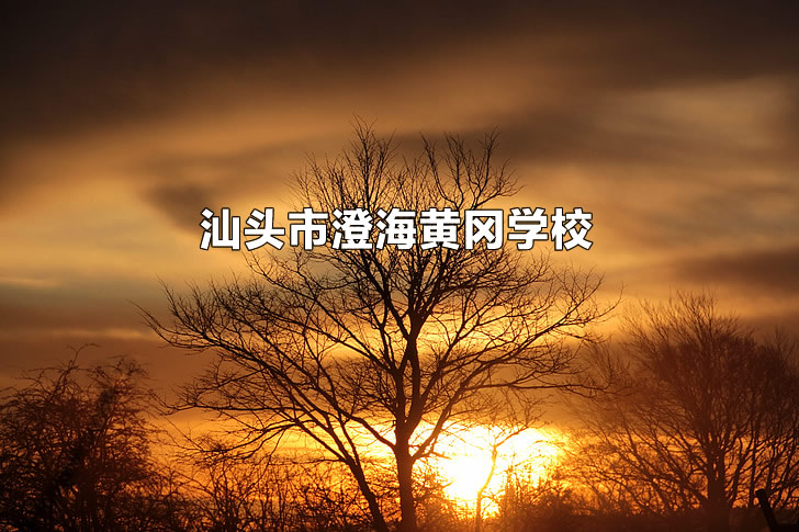 汕头市澄海黄冈学校.jpg