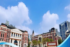 成都市双流区蓝港外国语学校收费标准(学费)及学校简介