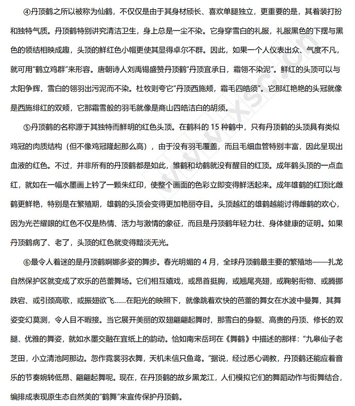 丹砂白雪万里飞——丹顶鹤 (2).jpg