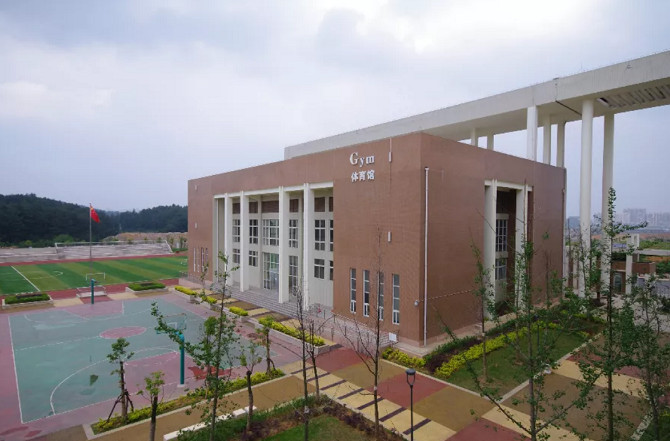 xsc.cn494.jpg