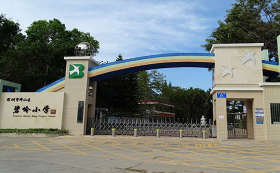 深圳市坪山区碧岭小学