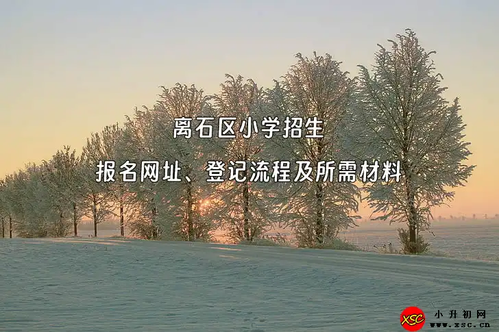 离石区小学招生报名网址、登记流程及所需材料.webp