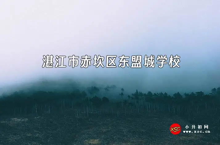 湛江市赤坎区东盟城学校.webp