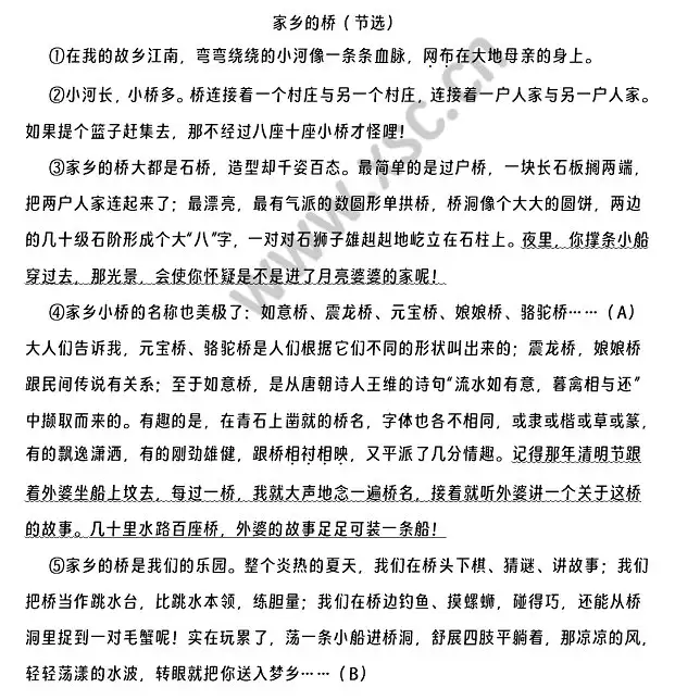 家乡的桥（节选）.webp
