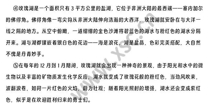 塞内加尔的玫瑰湖 (2).webp