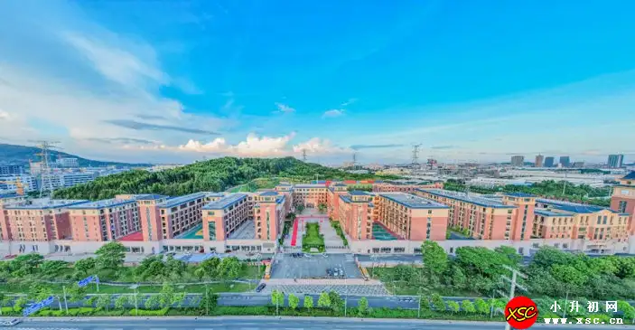 2024年广州市增城区华商外语实验学校招生计划及收费标准