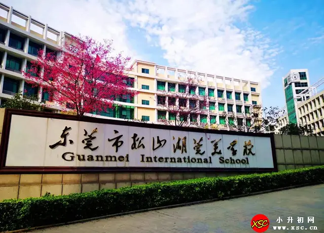 2024年东莞市松山湖莞美学校春季插班生招生简章(附收费标准)