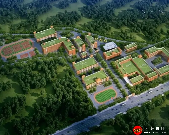 www.xsc.cn_131.webp
