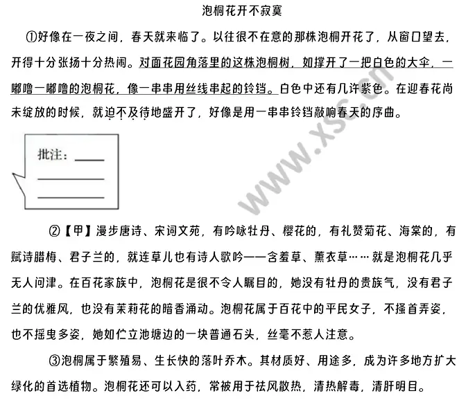 泡桐花开不寂寞 (1).webp