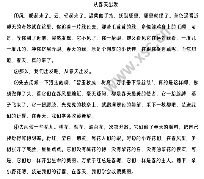 从春天出发 (1).webp