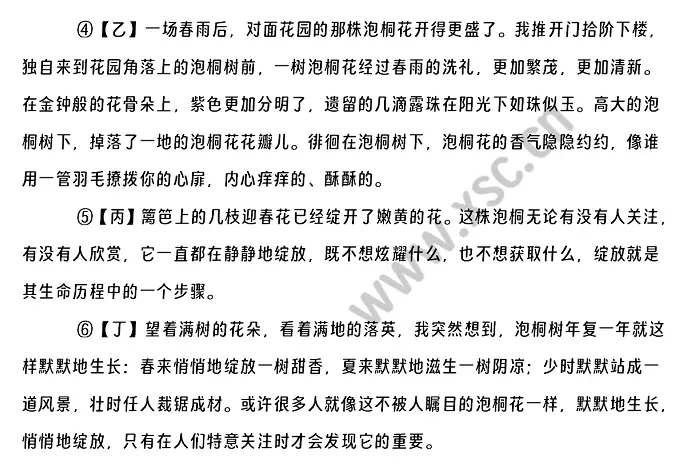 泡桐花开不寂寞 (2).webp