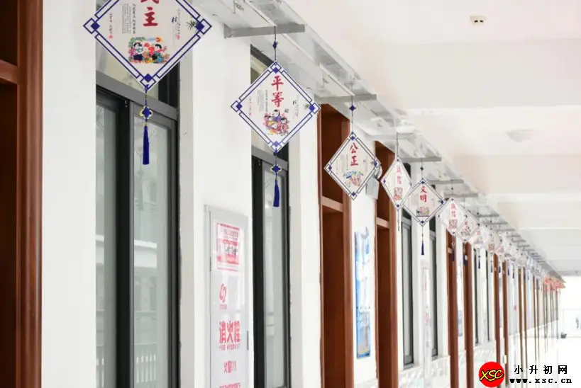 www.xsc.cn_688.webp