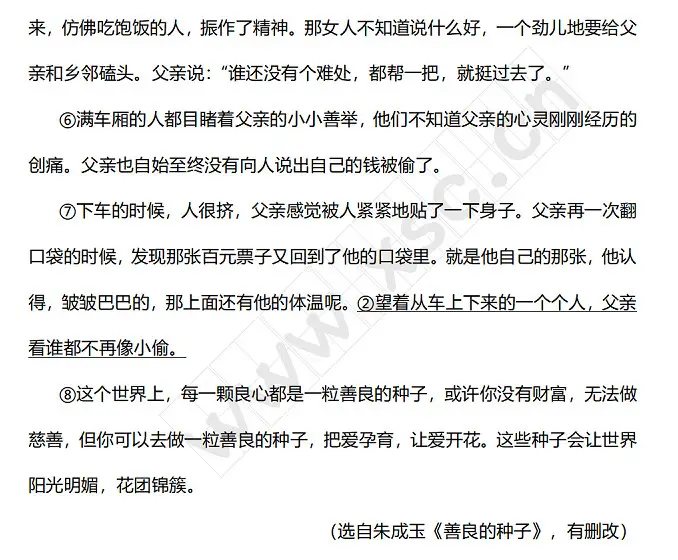 善良的种子2