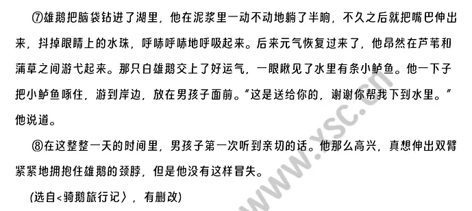 《骑鹅旅行记》阅读理解题及答案(阅读答案七)  (2).webp